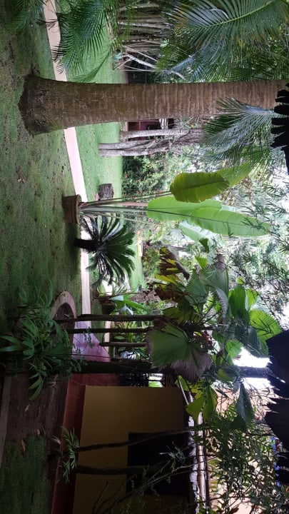 Gartenanlage Hotel Coyamar