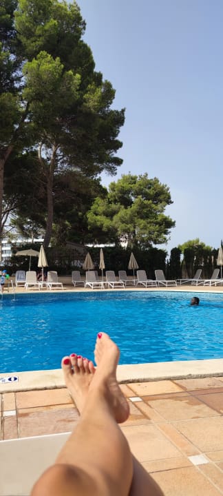 Pool Grupotel Orient