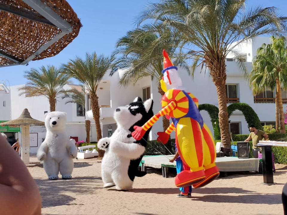 Sport & Freizeit Marlin Inn Azur Resort