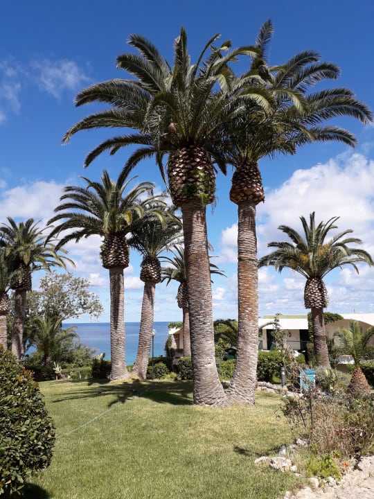 Garten Aldiana Club Rocca Nettuno Calabria