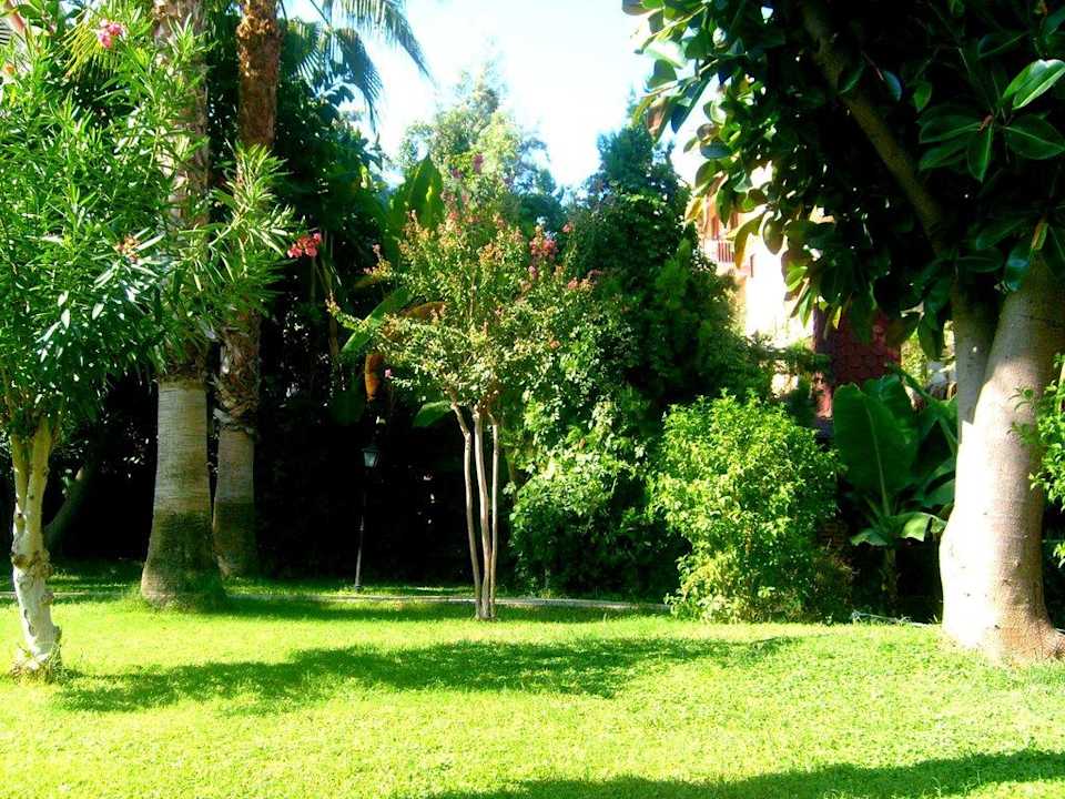 Strand Hotel Elysee Garden