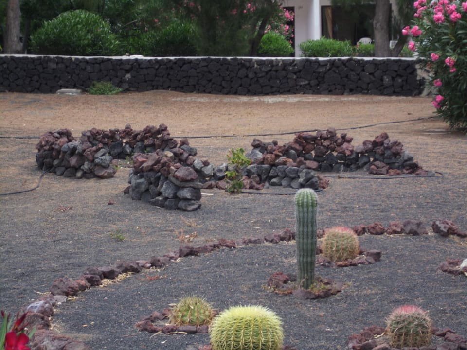 Garten Relaxia Olivina