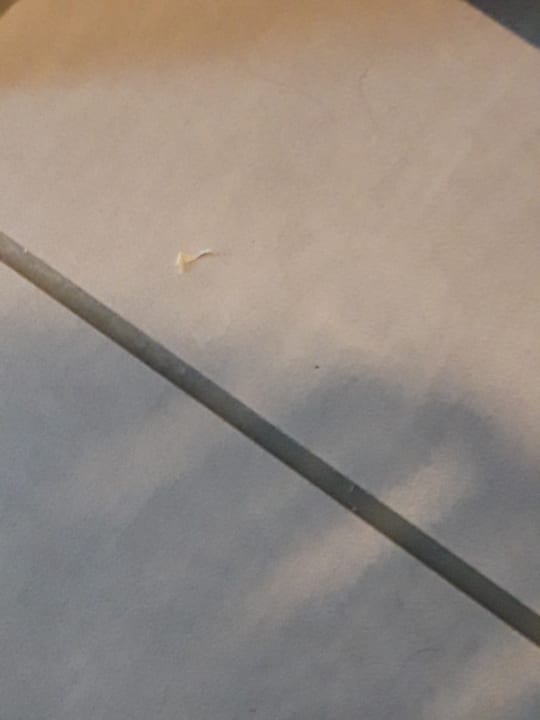 Zimmer Center Parcs Park Allgäu