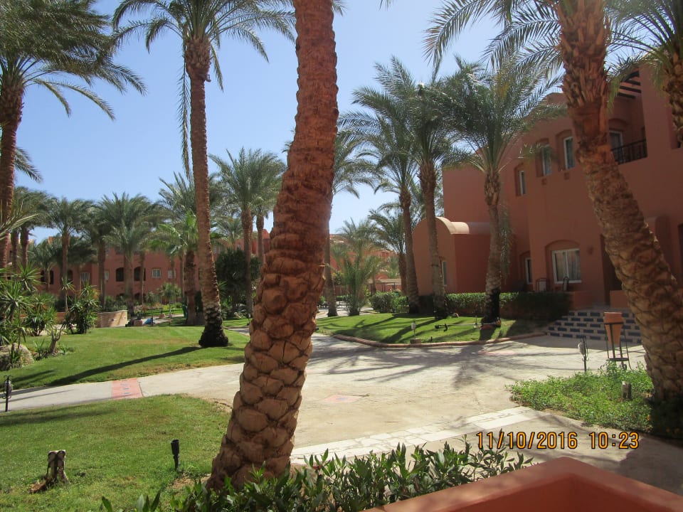 Ausblick Jaz Makadi Oasis Resort