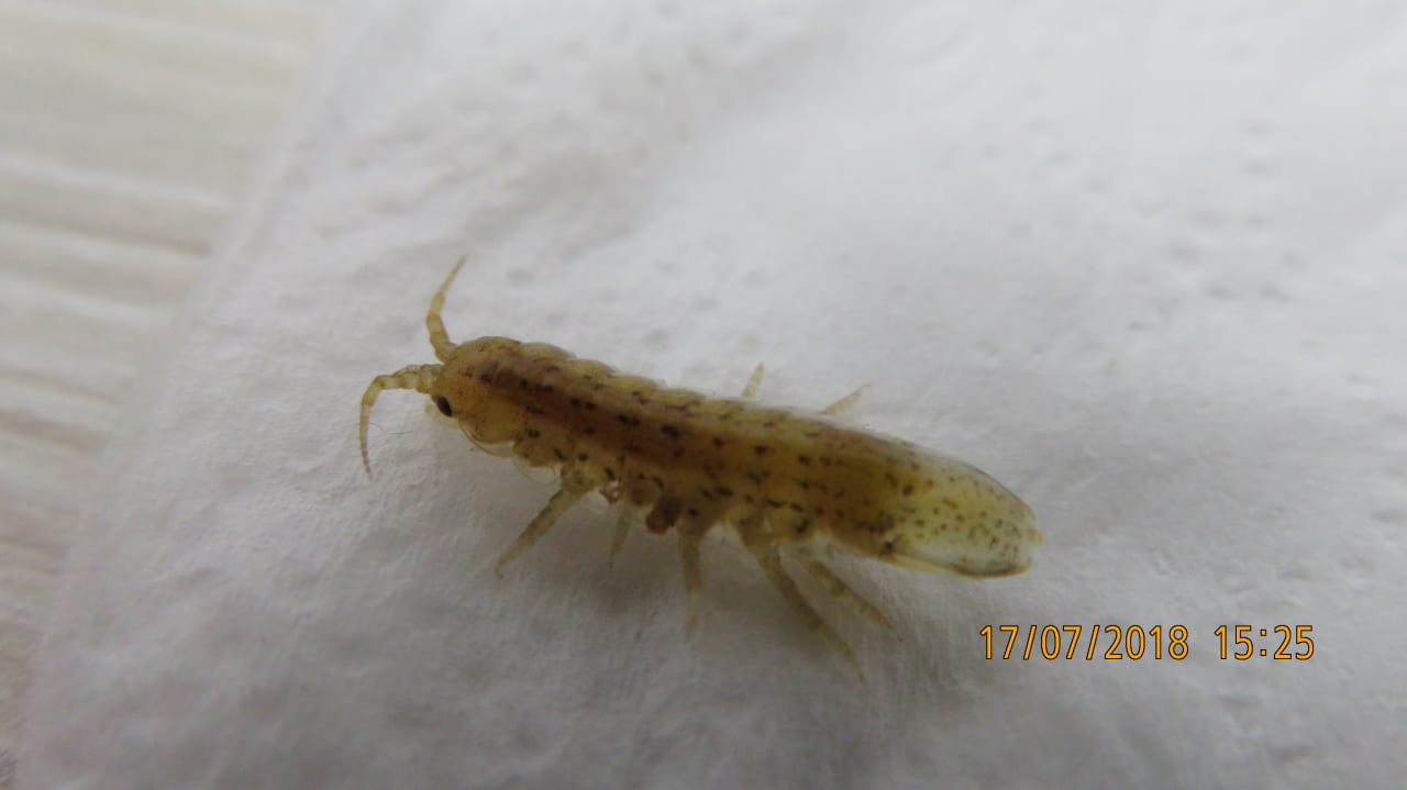 Sonstiges iHotel Sunny Beach