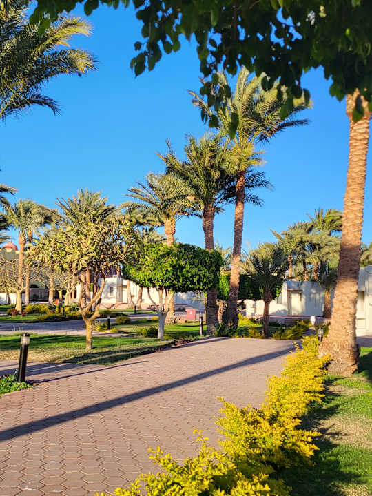 Gartenanlage Pharaoh Azur Resort