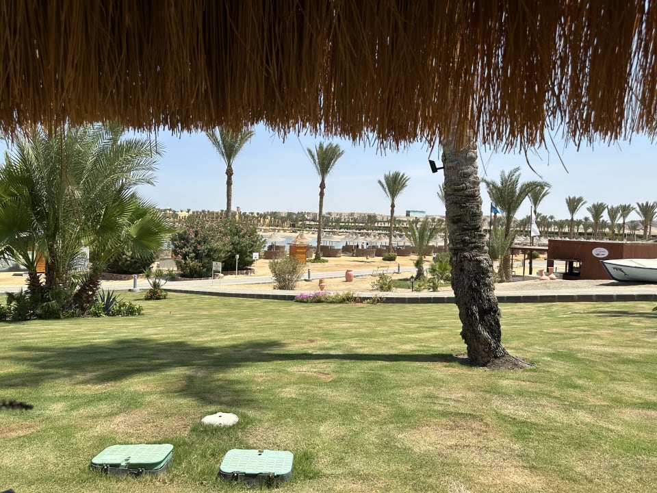 Gartenanlage Steigenberger Coraya Beach - Adults only