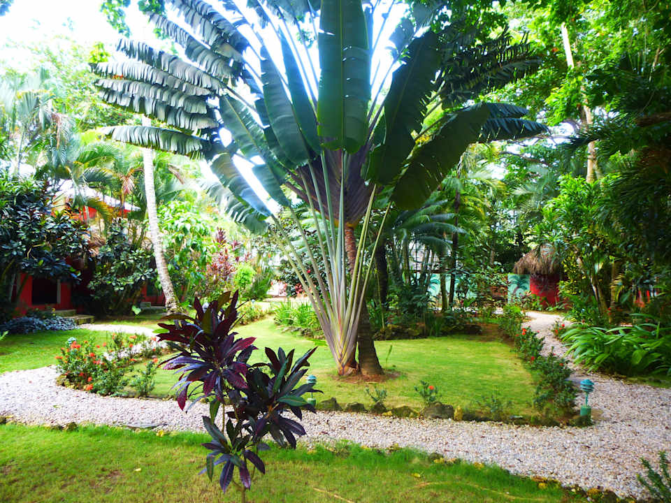 Garden Hotel La Tortuga