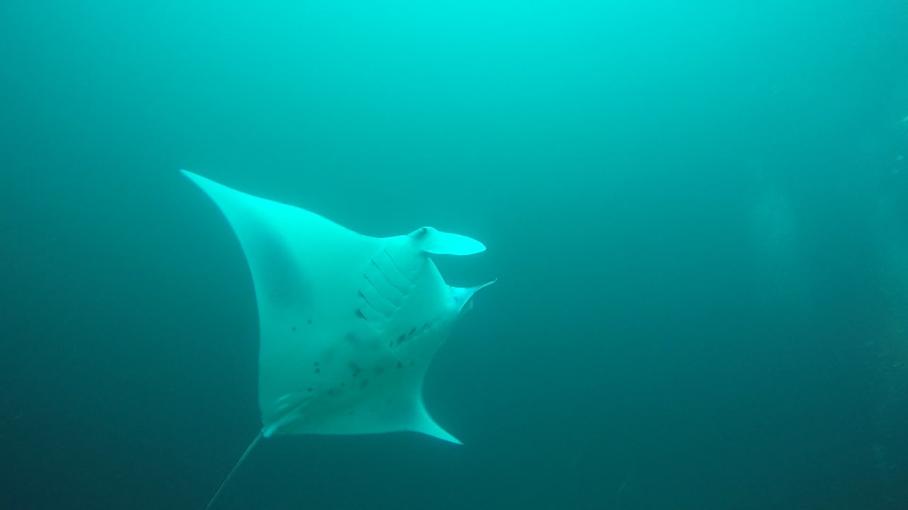 Sport & Freizeit NH Collection Maldives Reethi Resort