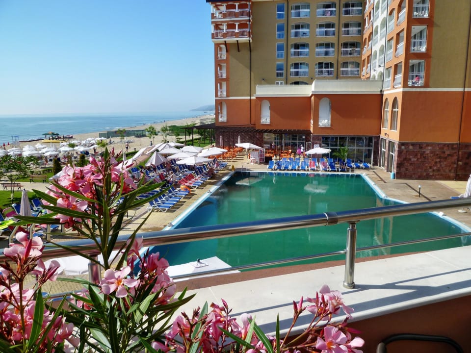 Pool von der Barterrasse Sol Luna Bay