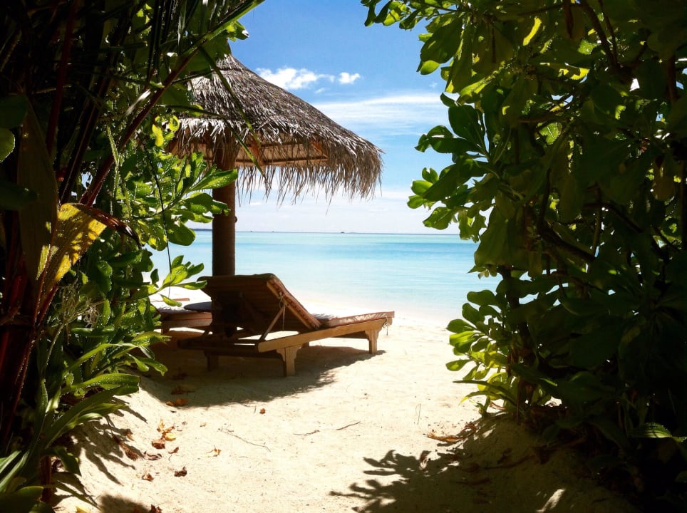 Empfehlenswert  Anantara Dhigu Maldives Resort