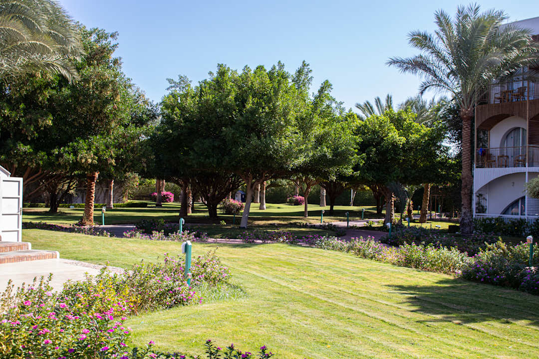 Gartenanlage Desert Rose