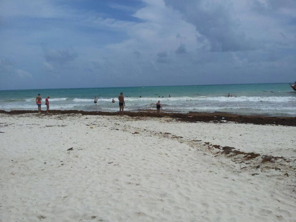 Hotel Catalonia Playa Maroma Catalonia Playa Maroma