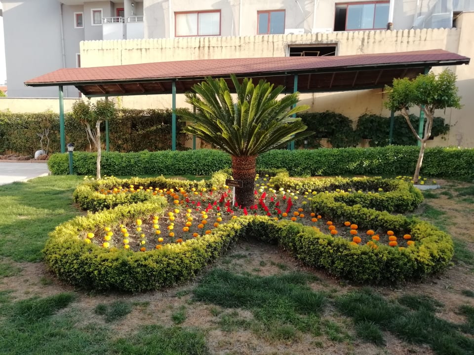 Blumen über Blumen Grand Seker Hotel