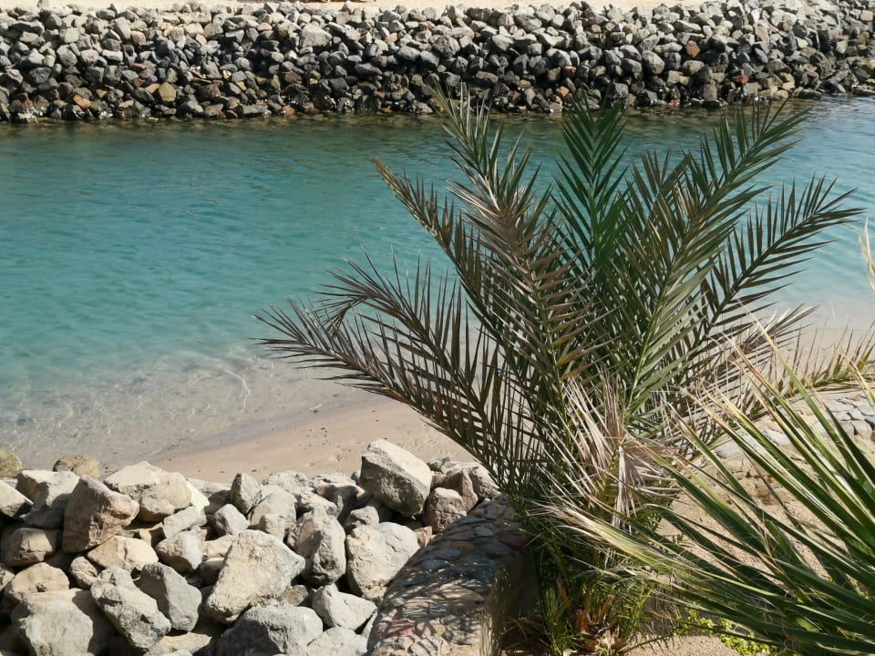 Gartenanlage Desert Rose
