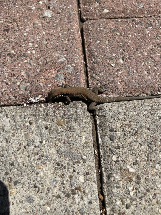 Gartenanlage VONRESORT Golden Beach