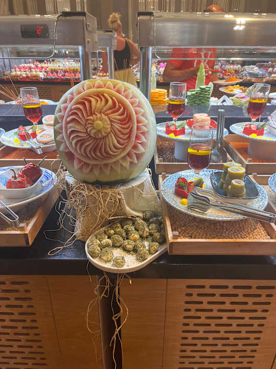 Gastro Seashell Vega