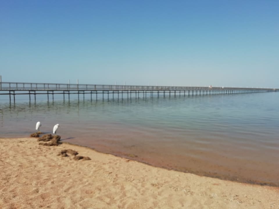 Strand JAZ Mirabel Beach