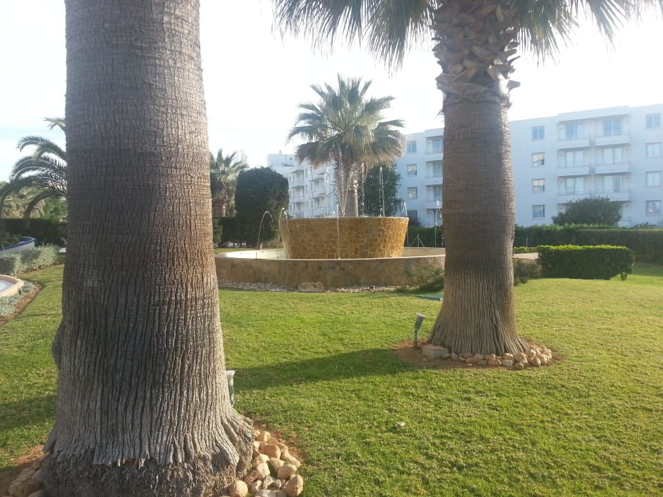 Eingangsbereich allsun App.-Hotel Orient Beach