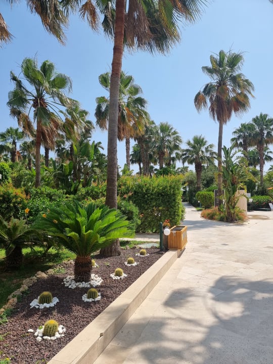 Gartenanlage VONRESORT Golden Coast