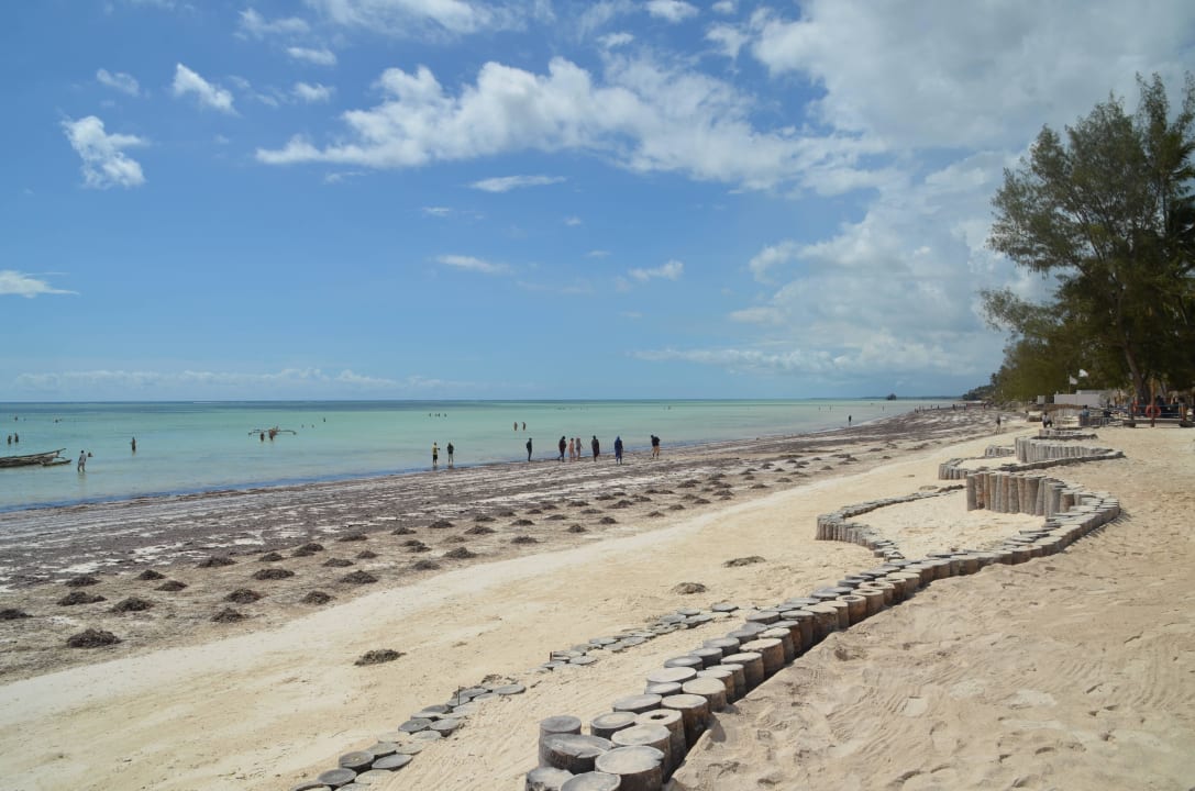 Strand TUI Blue Bahari Zanzibar