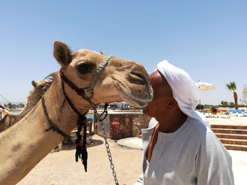 Strand Mövenpick Resort & Spa El Gouna