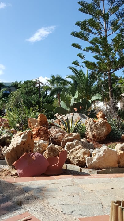 Gartenanlage Iberostar Selection Creta Marine