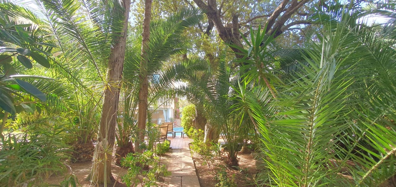 Gartenanlage Lago Garden