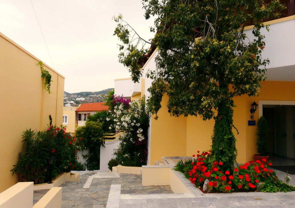Hotelweg zum Pool Hotel Alexander House
