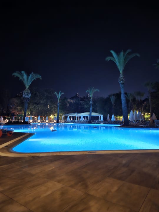 Pool Side Star Elegance