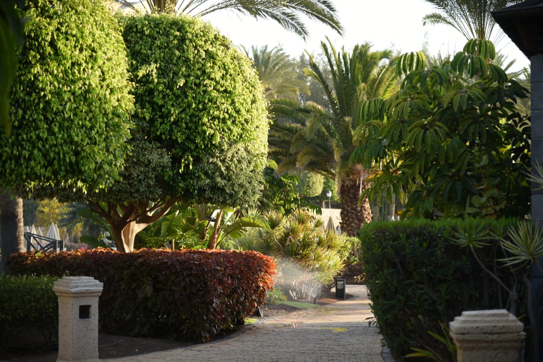 Gartenanlage R2 Rio Calma Hotel & Spa & Conference