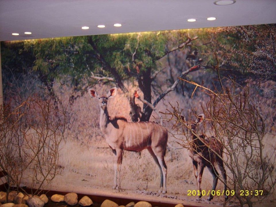 Thema Afrika Park-Hotel Hagenbeck