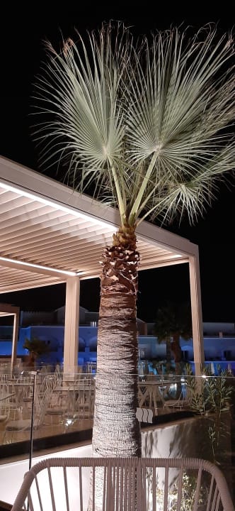 Gastro Mitsis Rodos Village