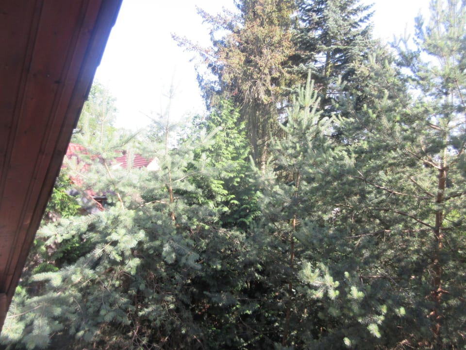 Ausblick Hotel Potsdam am Katharinenholz