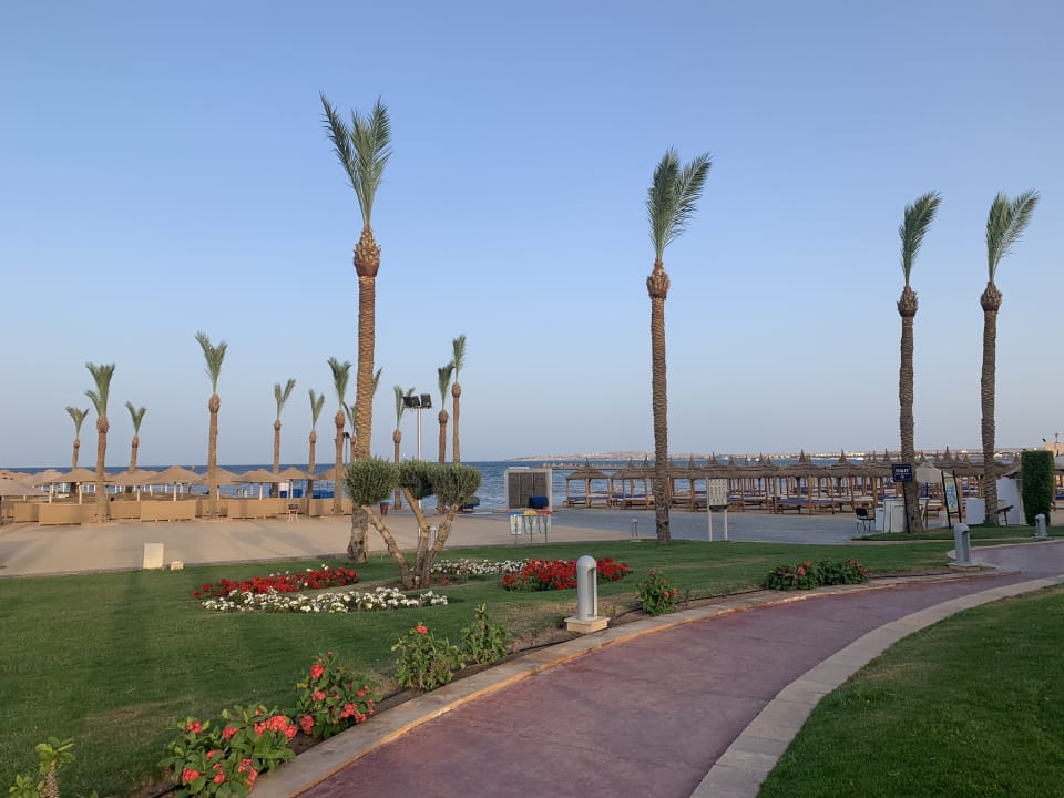 Strand Pickalbatros Palace Resort