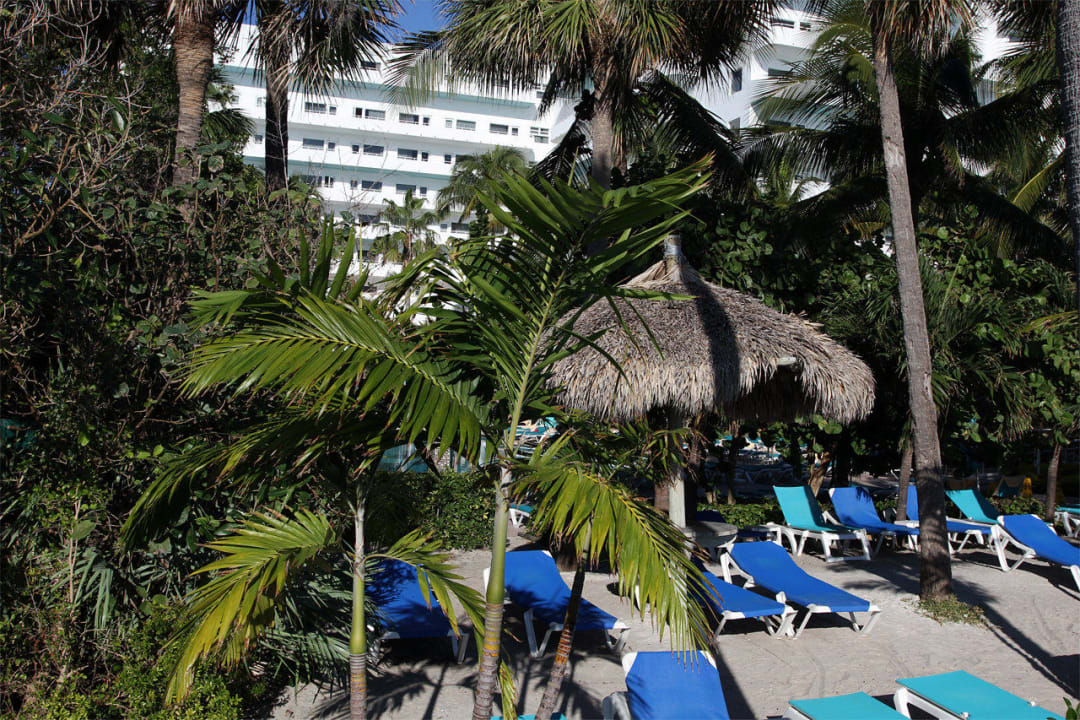 Liegebereich und Hotelansicht vom Meer aus Hotel Riu Plaza Miami Beach