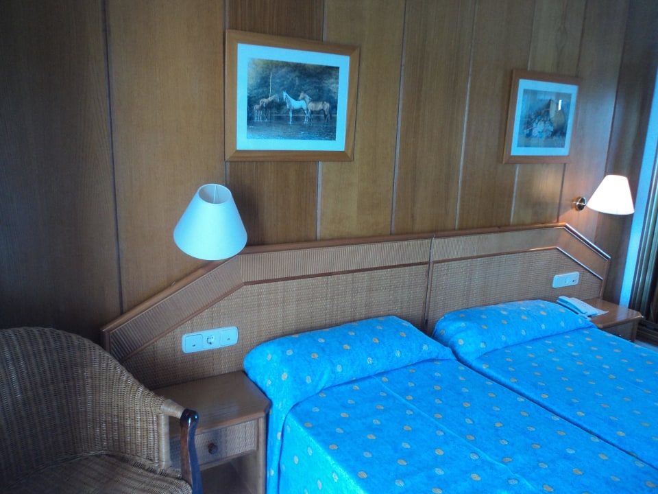 Bett HSM Regana - Adults Only