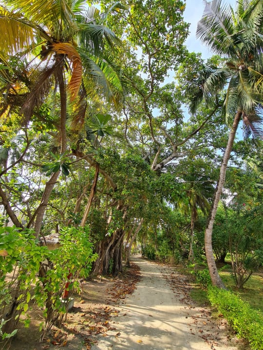 Gartenanlage Adaaran Select Hudhuran Fushi - Premium All Inclusive