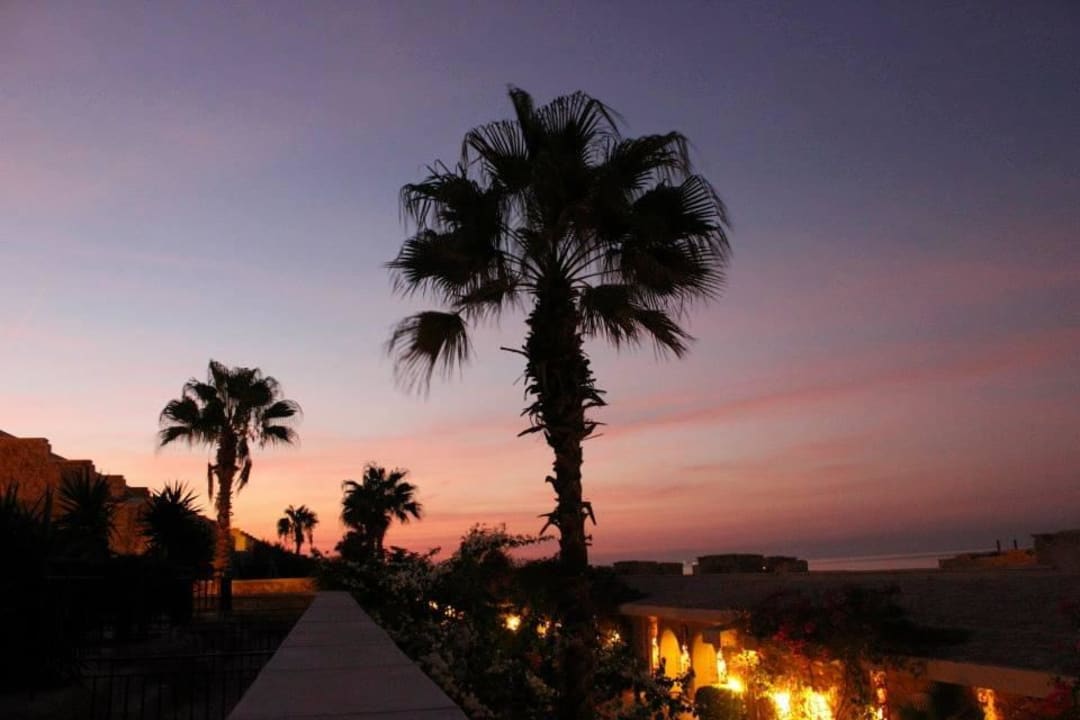 Blick in Richtung Norden Pickalbatros Citadel Resort