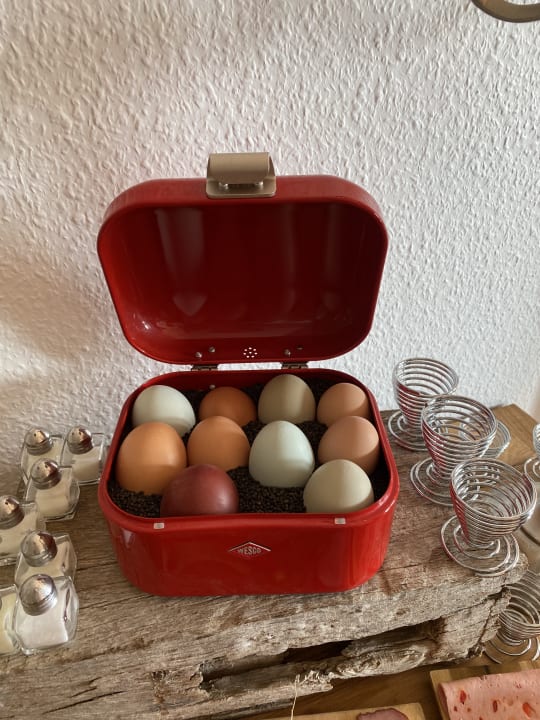 Gastro Hotel Rappenhof