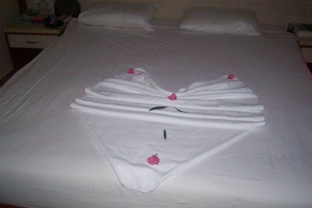 Mit Liebe Betten gemacht.. AQI Pegasos World