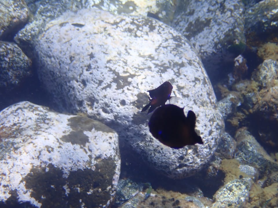 Strand H10 Timanfaya Palace - Adults only