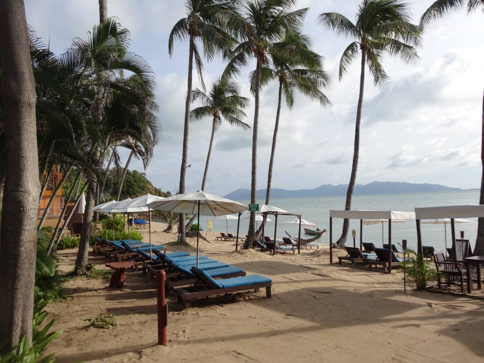 Schöner und gepflegter Strand  Pinnacle Samui Resort