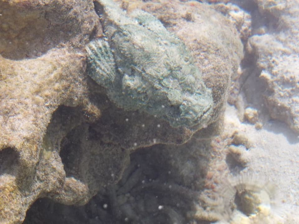 Steinfisch Adaaran Select Hudhuran Fushi - Premium All Inclusive