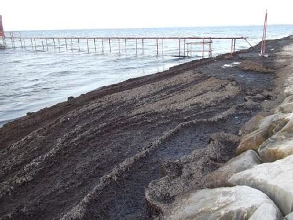 Müll Strand Alassio Hotel and Thalasso