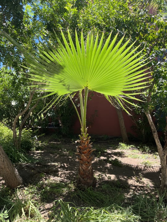 Pool ROBINSON QUINTA DA RIA