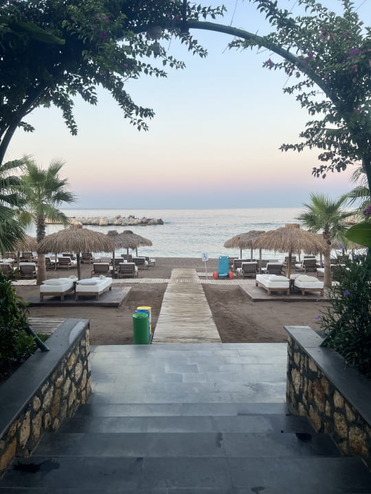 Strand Rubi Platinum Sign