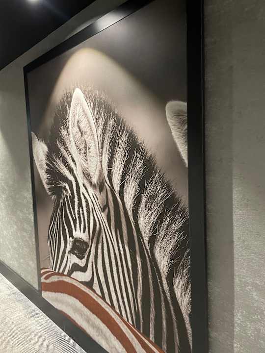 Zimmer Radisson RED Hotel, Vienna