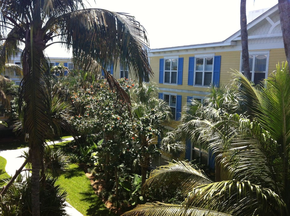 Blick in den Garten Hotel Sheraton Suites Key West