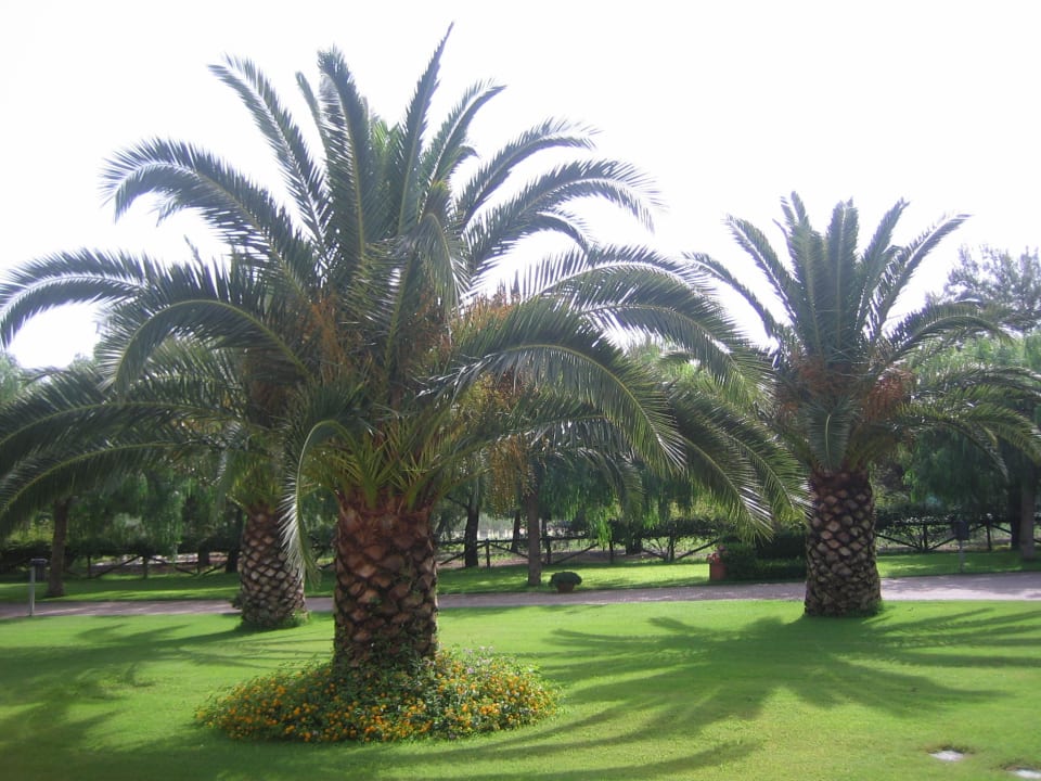 Gartenanlage Falkensteiner Club Funimation Garden Calabria